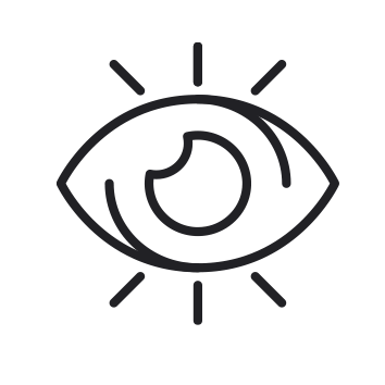 Vision